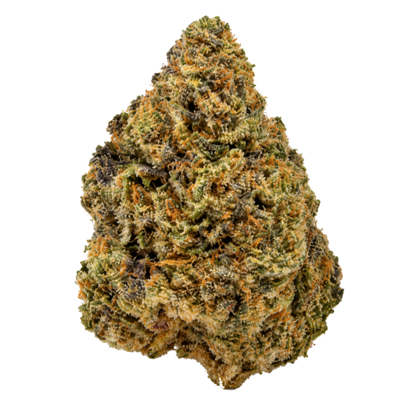 AAA+ | Champu | Hybrid | 41%